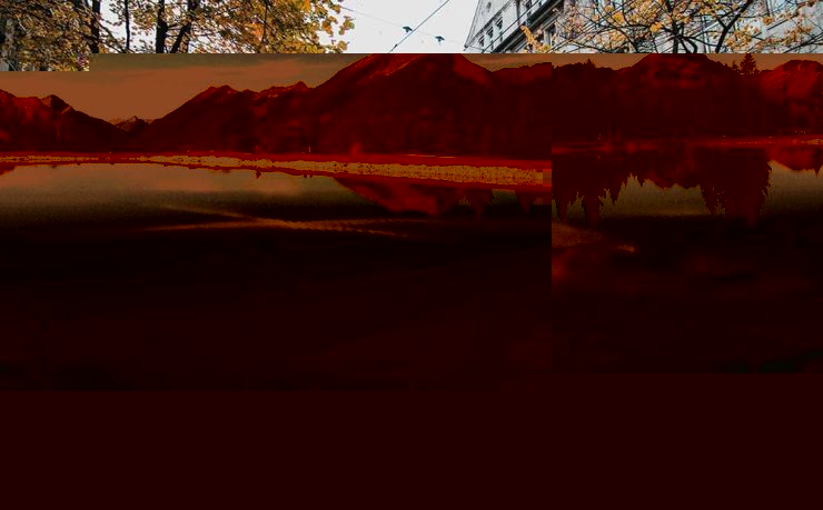 拉脱维亚移民：把“北欧平替”装进生活，而不是朋友圈